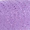 6" Glitter Wavy Dots Tulle by Celebrate It® Occasions™